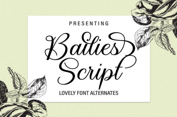 Bailies Script: A Font That Elevates Design with Elegance