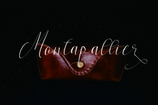 Montapallier Script: A Strategic Tool for Design and Communication