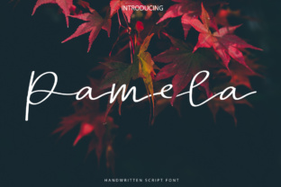 Pamela Script: Elevating Design with Elegance and Versatility