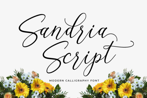 Sandria Script: A Feminine Font with a Unique Flair