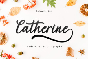 The Elegance of Catherine Script: A Guide to an Artful Font